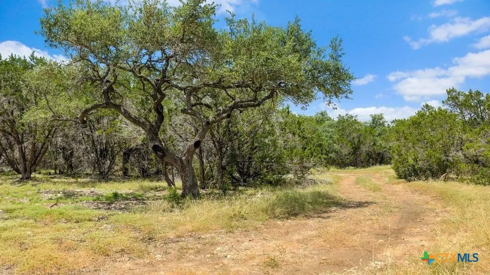 8 Cypress Cove Road Spring Branch, TX 78070