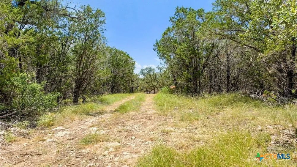 8 Cypress Cove Road Spring Branch, TX 78070