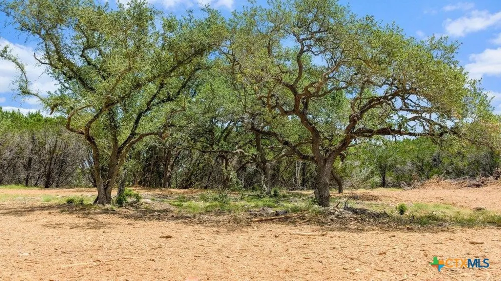 8 Cypress Cove Road Spring Branch, TX 78070