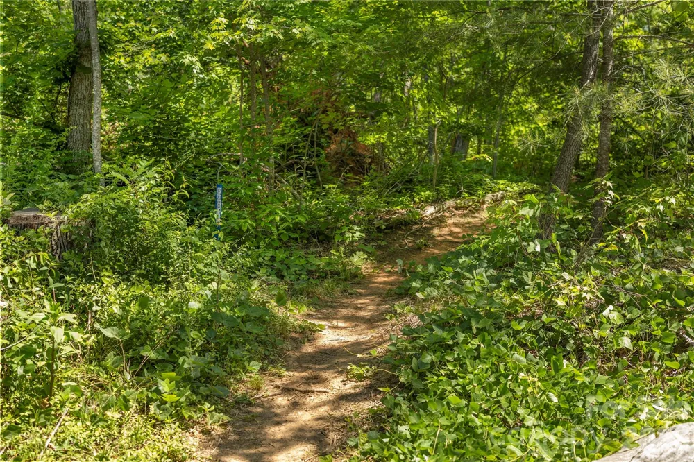 38 Nixon Terrace Asheville, NC 28805