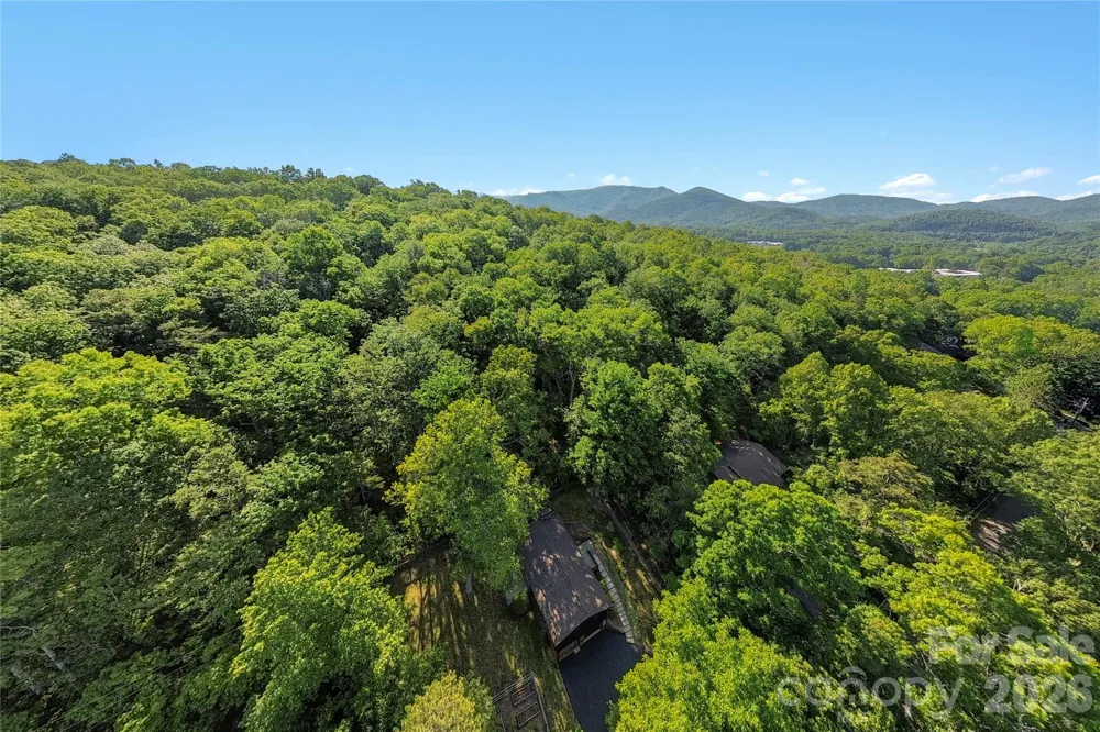 38 Nixon Terrace Asheville, NC 28805