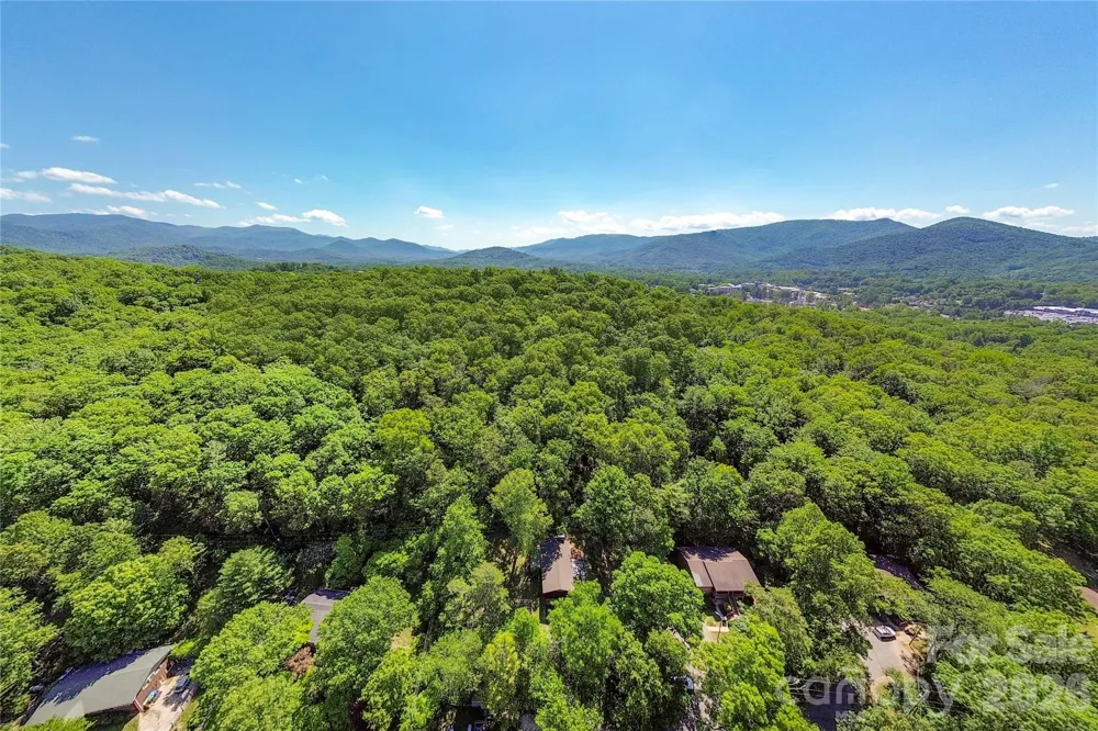 38 Nixon Terrace Asheville, NC 28805