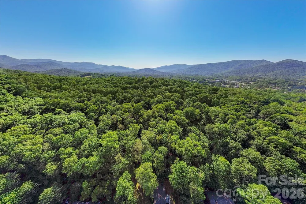 38 Nixon Terrace Asheville, NC 28805