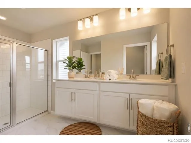 909 Nettle Lane Fort Collins, CO 80524