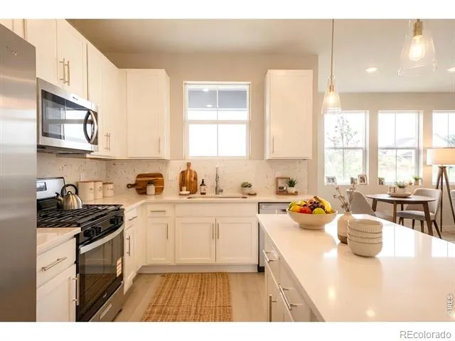 909 Nettle Lane Fort Collins, CO 80524