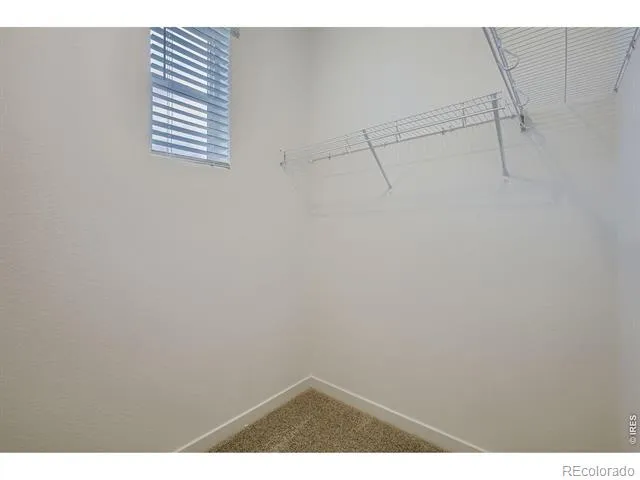960 Nettle Lane Fort Collins, CO 80524