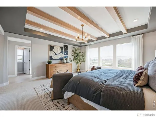 997 Nettle Lane Fort Collins, CO 80524