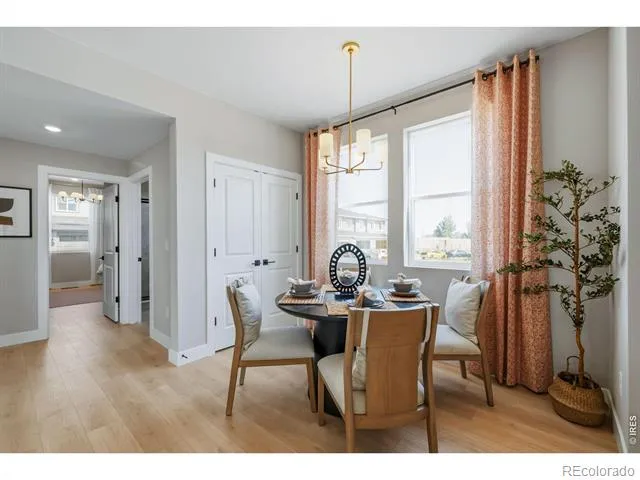 997 Nettle Lane Fort Collins, CO 80524