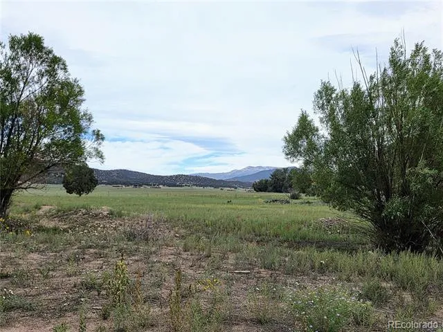 185 County Road 6 Coaldale, CO 81222