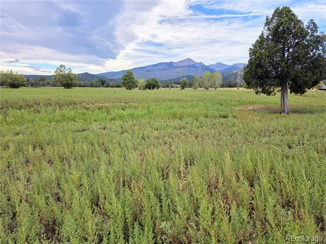 185 County Road 6 Coaldale, CO 81222