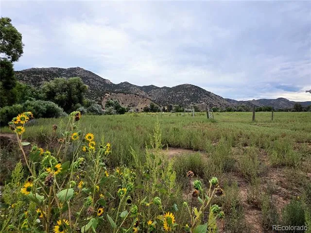 185 County Road 6 Coaldale, CO 81222