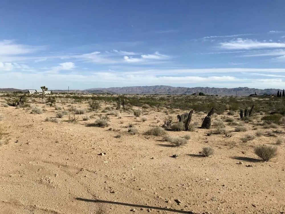 204 Avenida Del Sol Joshua Tree, CA 92252