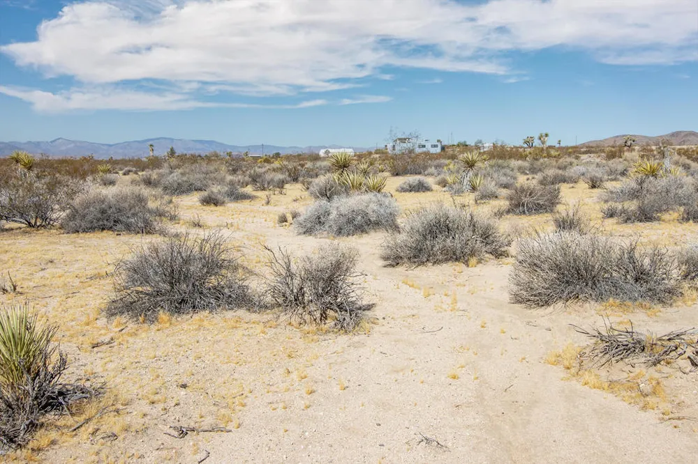 204 Avenida Del Sol Joshua Tree, CA 92252