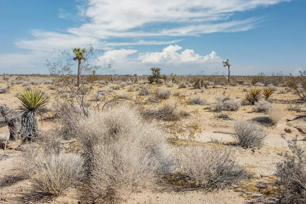 204 Avenida Del Sol Joshua Tree, CA 92252