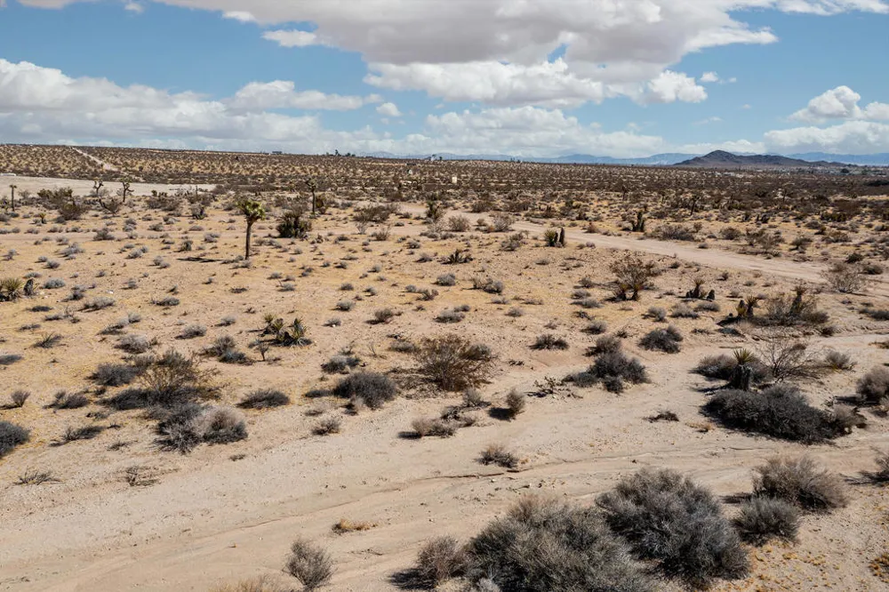 204 Avenida Del Sol Joshua Tree, CA 92252