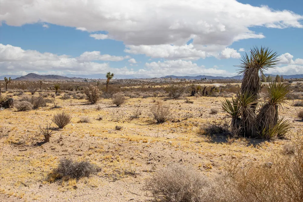 204 Avenida Del Sol Joshua Tree, CA 92252