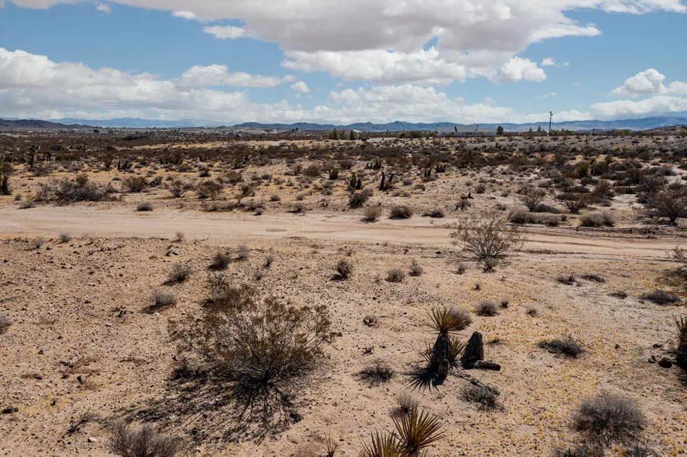 204 Avenida Del Sol Joshua Tree, CA 92252