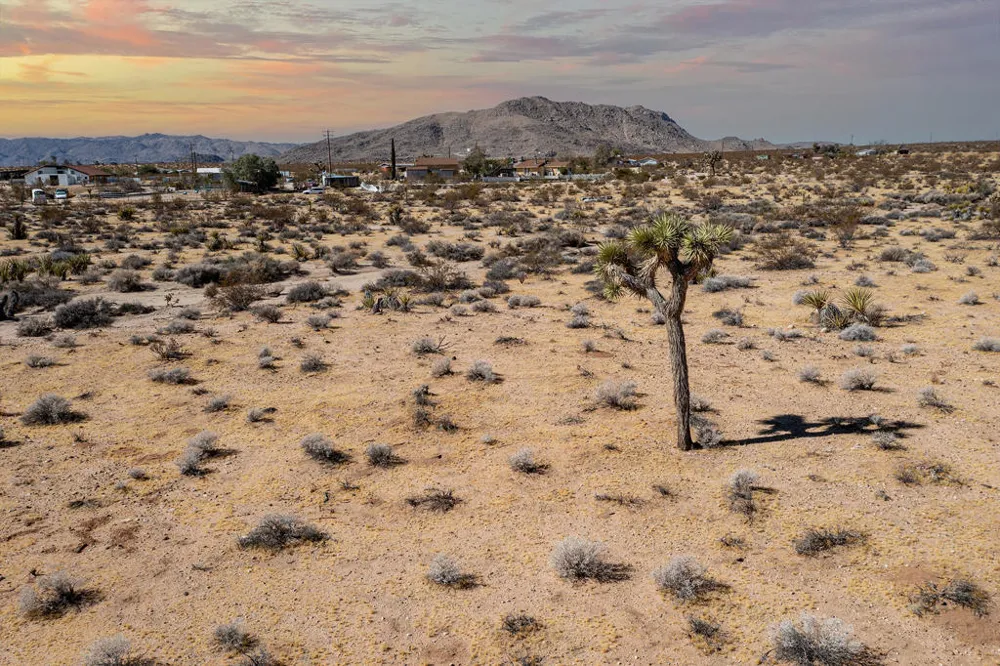 204 Avenida Del Sol Joshua Tree, CA 92252