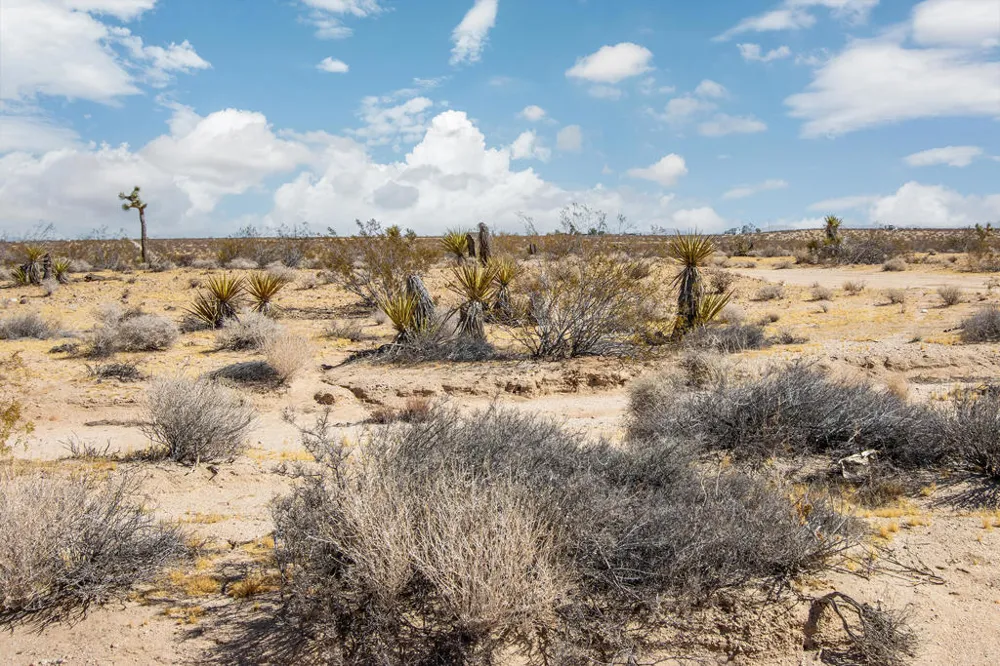 204 Avenida Del Sol Joshua Tree, CA 92252