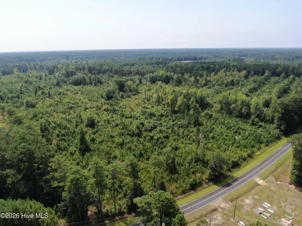 Tbd Sarah Peterson Road Council, NC 28434