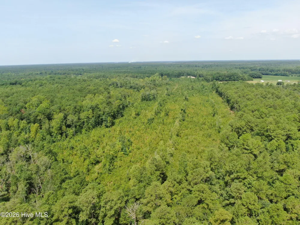 Tbd Sarah Peterson Road Council, NC 28434