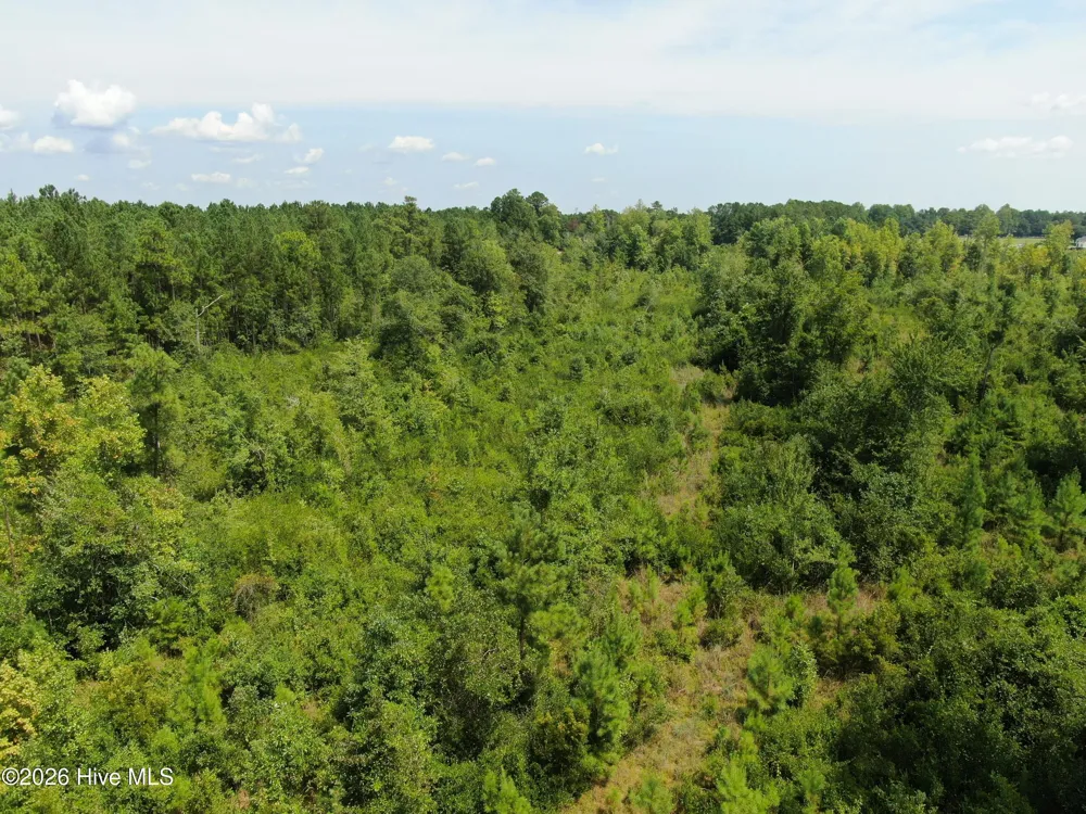 Tbd Sarah Peterson Road Council, NC 28434