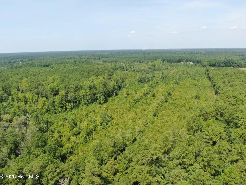 Tbd Sarah Peterson Road Council, NC 28434