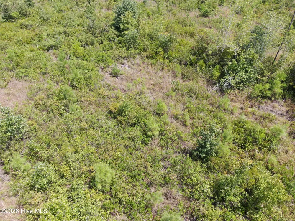 Tbd Sarah Peterson Road Council, NC 28434