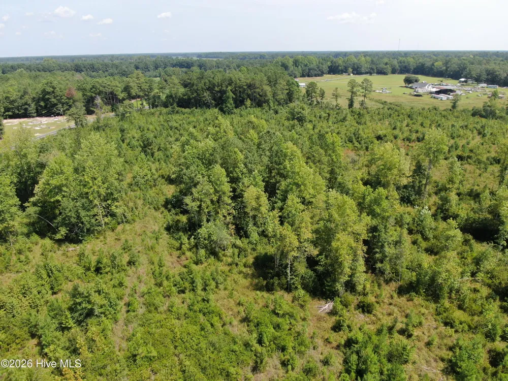 Tbd Sarah Peterson Road Council, NC 28434