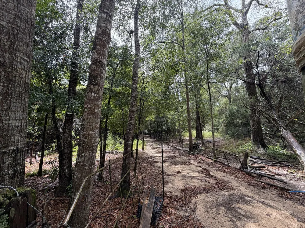 1340 County Road 4375 Spurger, TX 77660