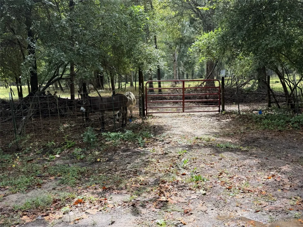 1340 County Road 4375 Spurger, TX 77660