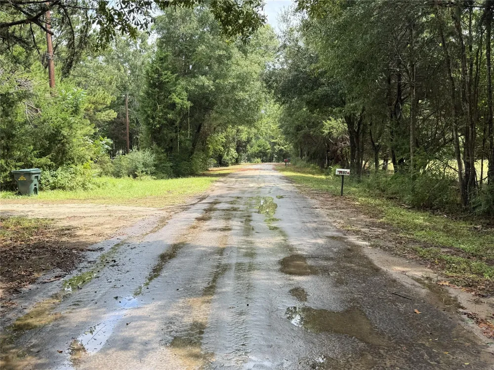 1340 County Road 4375 Spurger, TX 77660