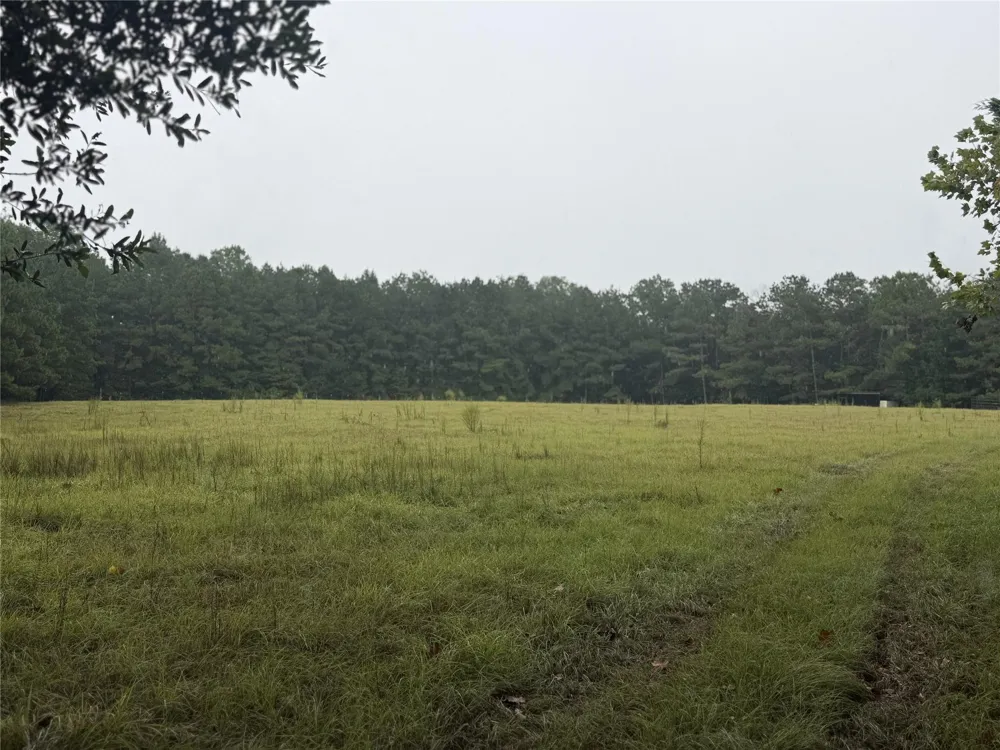 1340 County Road 4375 Spurger, TX 75979