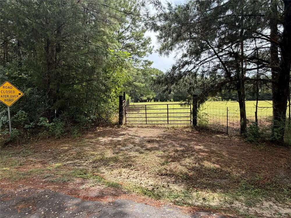1340 County Road 4375 Spurger, TX 75979