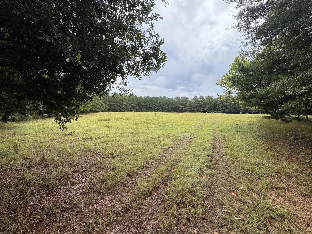 1340 County Road 4375 Spurger, TX 75979