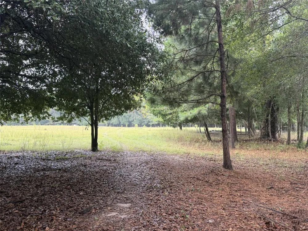 1340 County Road 4375 Spurger, TX 75979