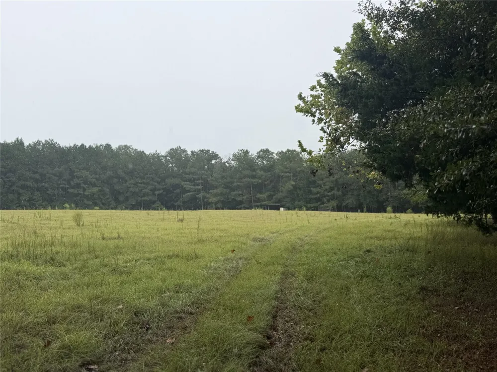 1340 County Road 4375 Spurger, TX 75979