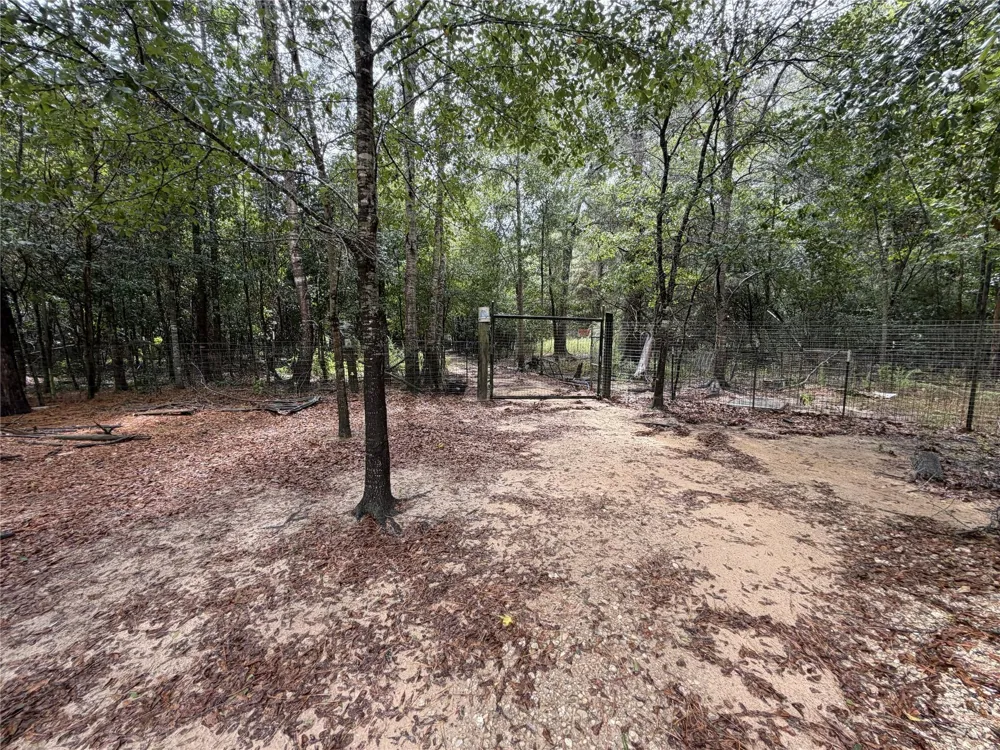1340 County Road 4375 Spurger, TX 75979