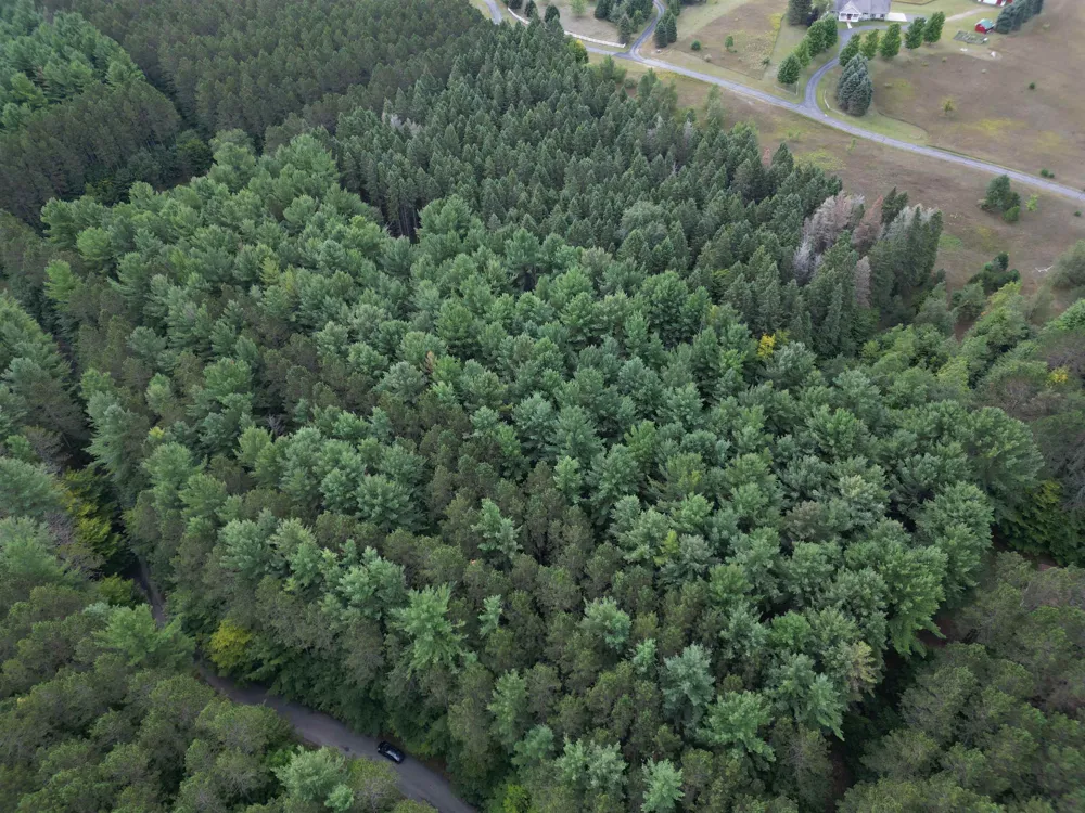 W Timber Lane Kasson Township, MI 49630