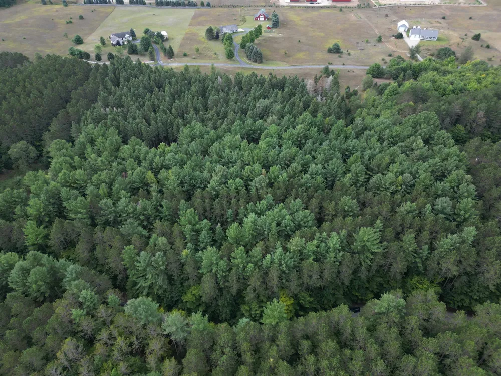 W Timber Lane Kasson Township, MI 49630