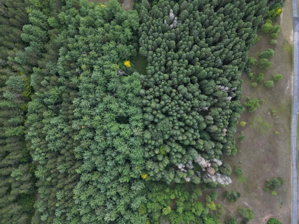 W Timber Lane Kasson Township, MI 49630