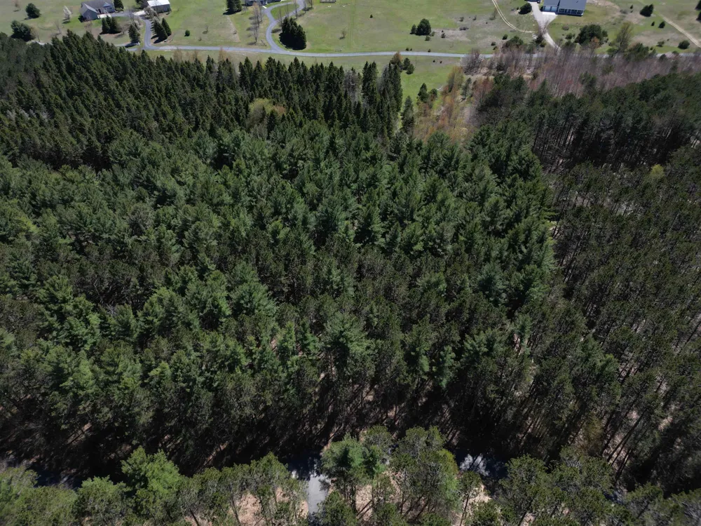 W Timber Lane Kasson Township, MI 49630
