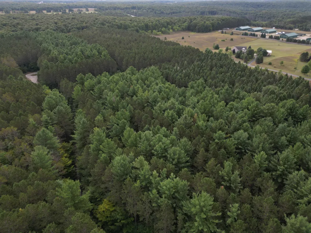 W Timber Lane Kasson Township, MI 49630