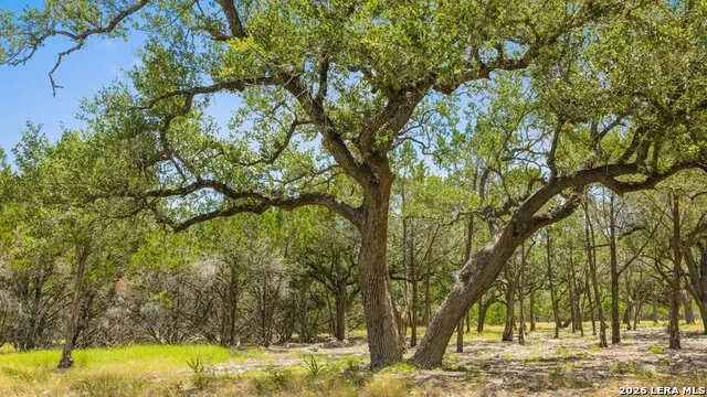 TRACT 5 Cypress Cove Spring Branch, TX 78070