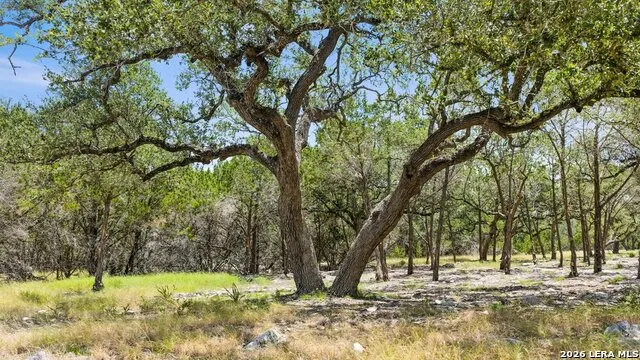 TRACT 5 Cypress Cove Spring Branch, TX 78070