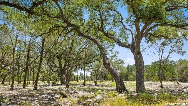 TRACT 5 Cypress Cove Spring Branch, TX 78070