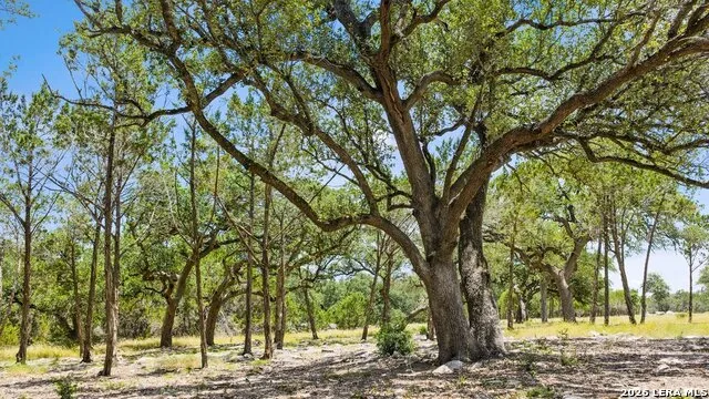 TRACT 5 Cypress Cove Spring Branch, TX 78070