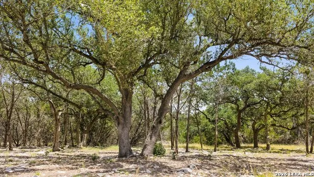 TRACT 5 Cypress Cove Spring Branch, TX 78070