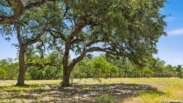 TRACT 5 Cypress Cove Spring Branch, TX 78070