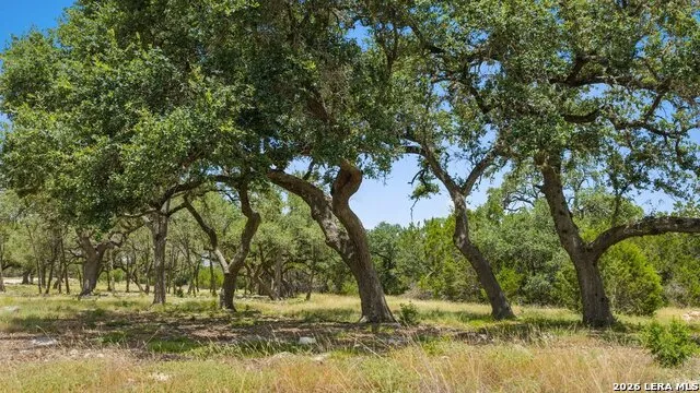 TRACT 5 Cypress Cove Spring Branch, TX 78070